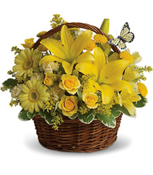 Basket Full of Wishes In Louisville, KY, In Kentucky, Schmitt's Florist